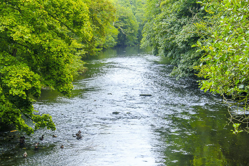 River Derwent River Derwent